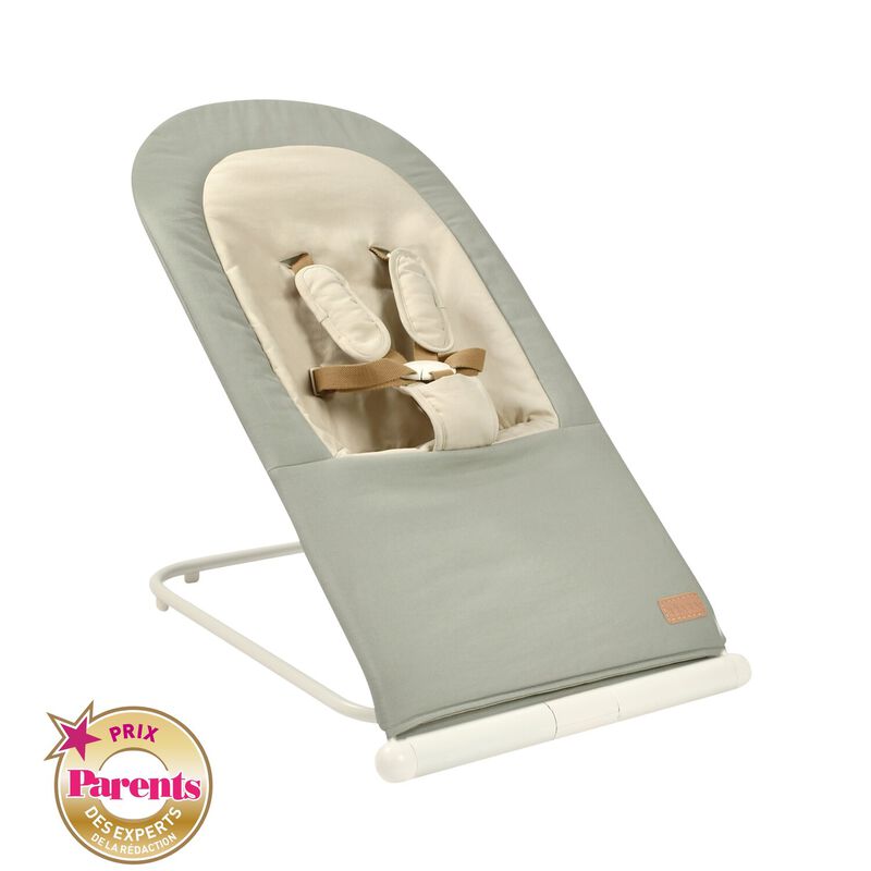 102514-HAMACA BEABA EAZY RELAX LIQUEN(1-0)-0