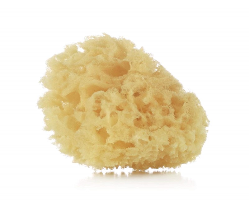 88860-ESPONJA NATURAL JANE X2(27-7)-0