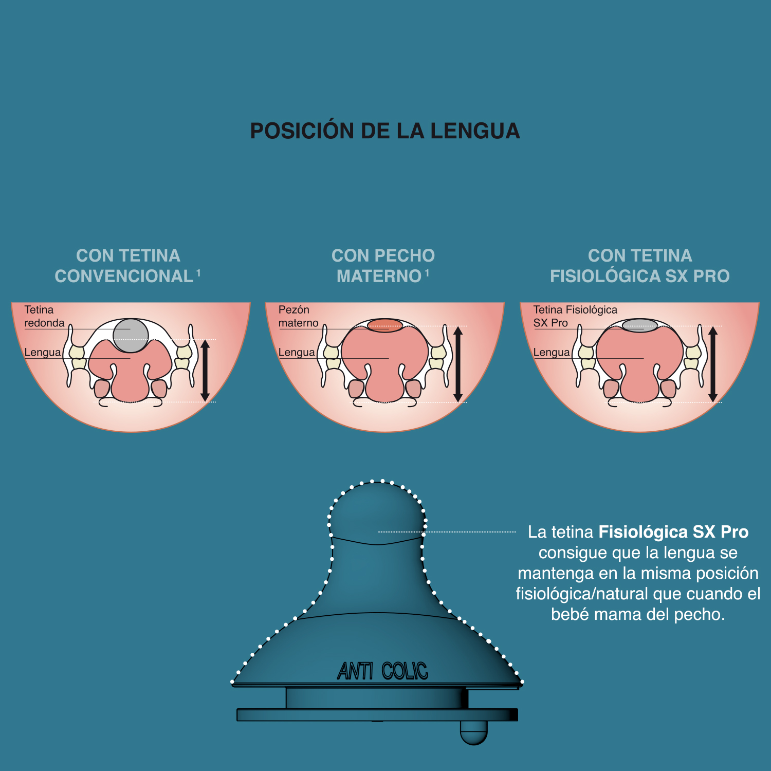 98085-TETINA L SUAVINEX FISIOLOGICA SILICONA 2 UDS.(4-0)-3